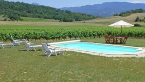 A swimming pool with lounge chairs and a table with an umbrella, surrounded by a vineyard and hills in the background. - Villa in Conilhac with Private Terrace (Conilhac-De-La-Montagne)