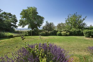 Unclassified image, 2 of 33, button - Sunny Stay in Lavender Land (BONNIEUX)
