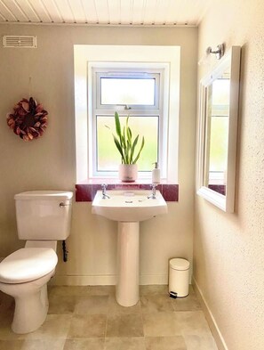 A bathroom with a toilet, sink, and window. - Wee Silverburn (Isle of Arran)