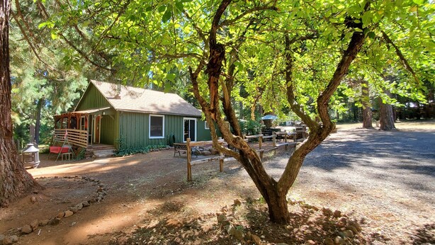 A rustic cabin with a porch, surrounded by trees and a dirt path. - Cottage #3 near a Creek & Pond on Mt. Lassen (Shingletown)