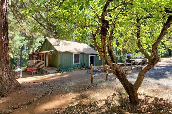Rustic cabin in the woods with a creek and pond on Mt. Lassen