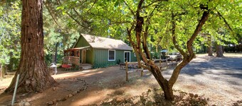 Cottage #3 near a Creek & Pond on Mt. Lassen
