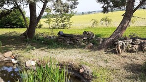 Un estanque con nenúfares y juncos, rodeado de rocas y árboles en un entorno natural.