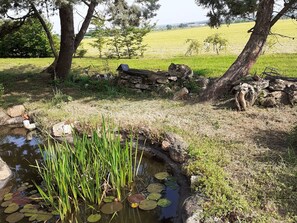 Property grounds - Charming Cottage in Loire Valley Vineyards with Modern Comfort and Garden Access (Aubigné-sur-Layon)