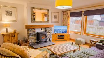 TV, fireplace, DVD player, books