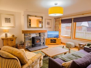 Televisión, chimenea, reproductor de DVD y libros 