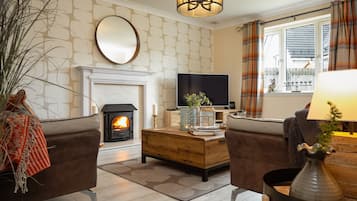 TV, fireplace, DVD player