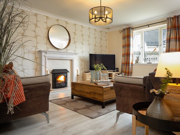 TV, fireplace, DVD player
