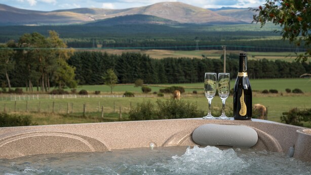 Un jacuzzi con una botella y dos vasos, rodeado de un paisaje pintoresco con montañas y campos.