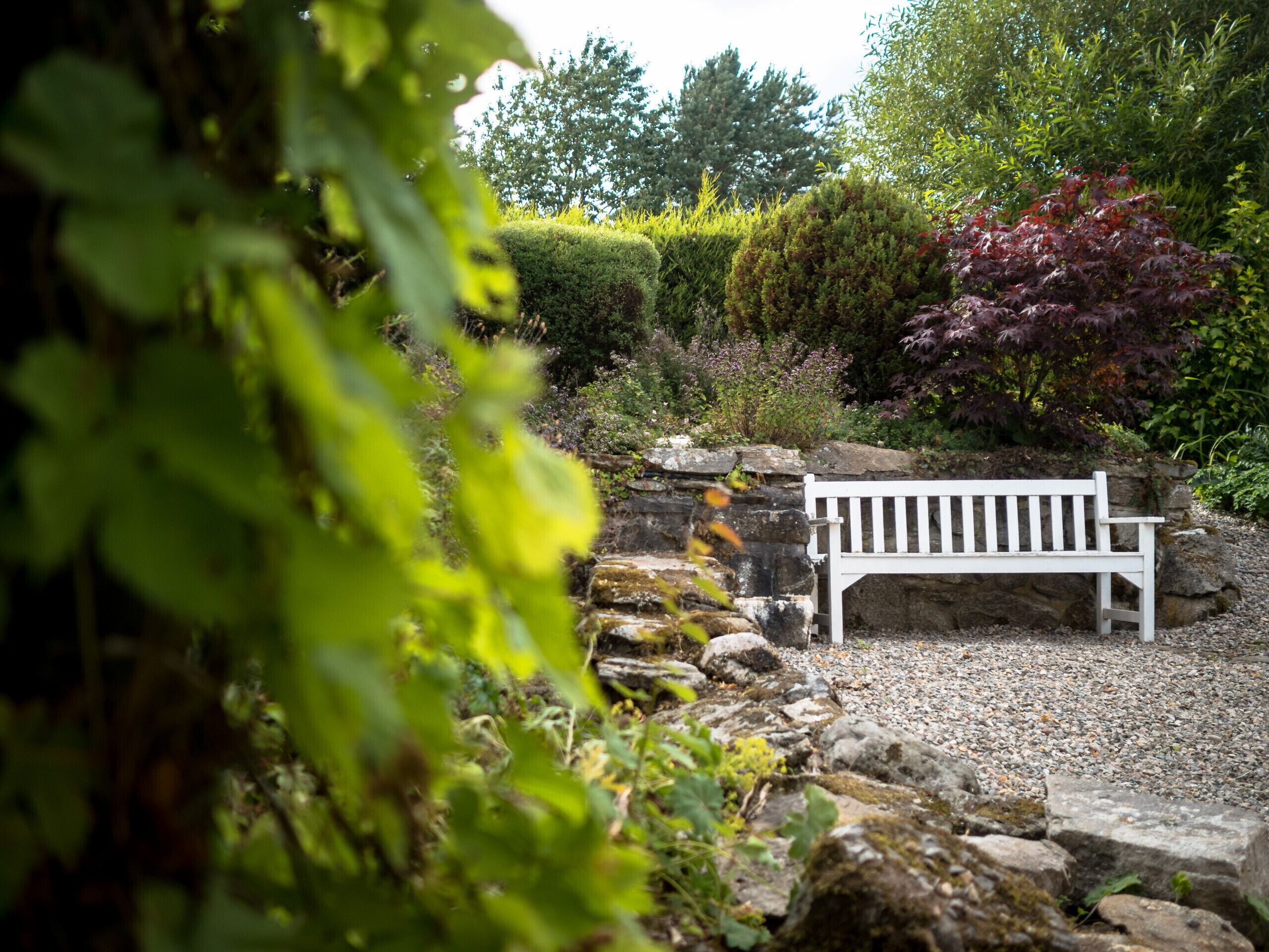Eine weiße Bank in einem Garten mit einer Steinmauer und verschiedenen Pflanzen.