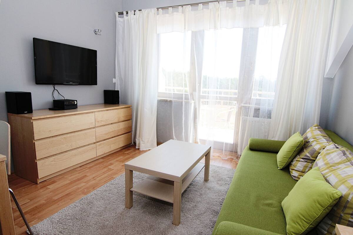 Ein Wohnzimmer mit Flachbildfernseher, Holzkasten, grünem Sofa und einem kleinen Tisch.