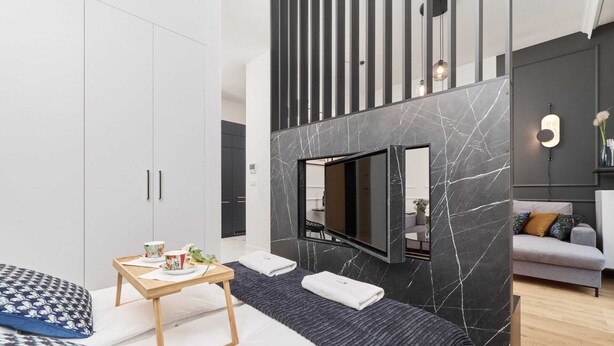 Une chambre d’hôtel moderne avec un lit, une petite table ornée d’une plante, un téléviseur et un canapé.