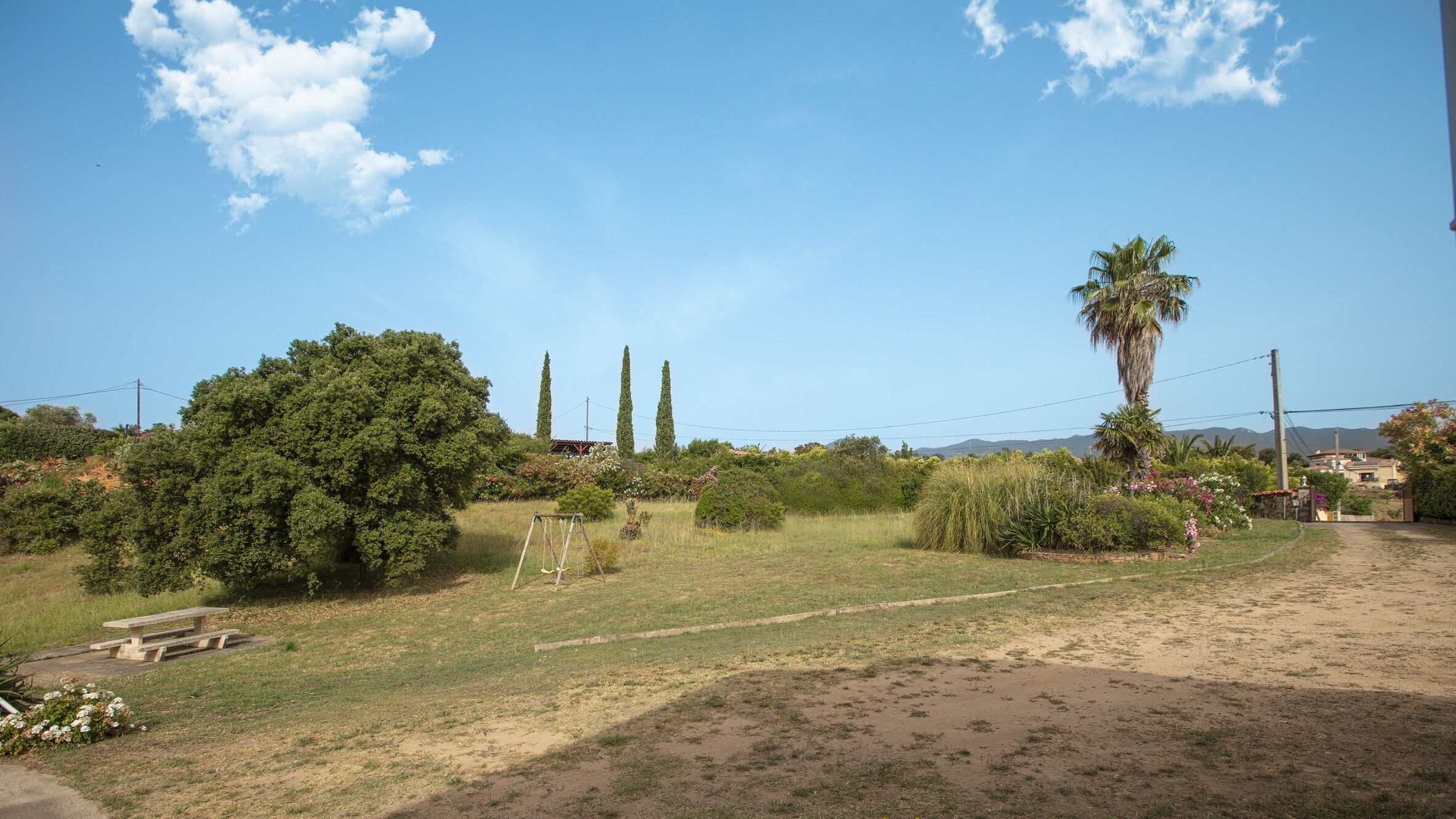A rural landscape with a dirt path, a picnic table, and various trees including a tall palm.