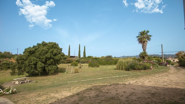 A rural landscape with a dirt path, a picnic table, and various trees including a tall palm.