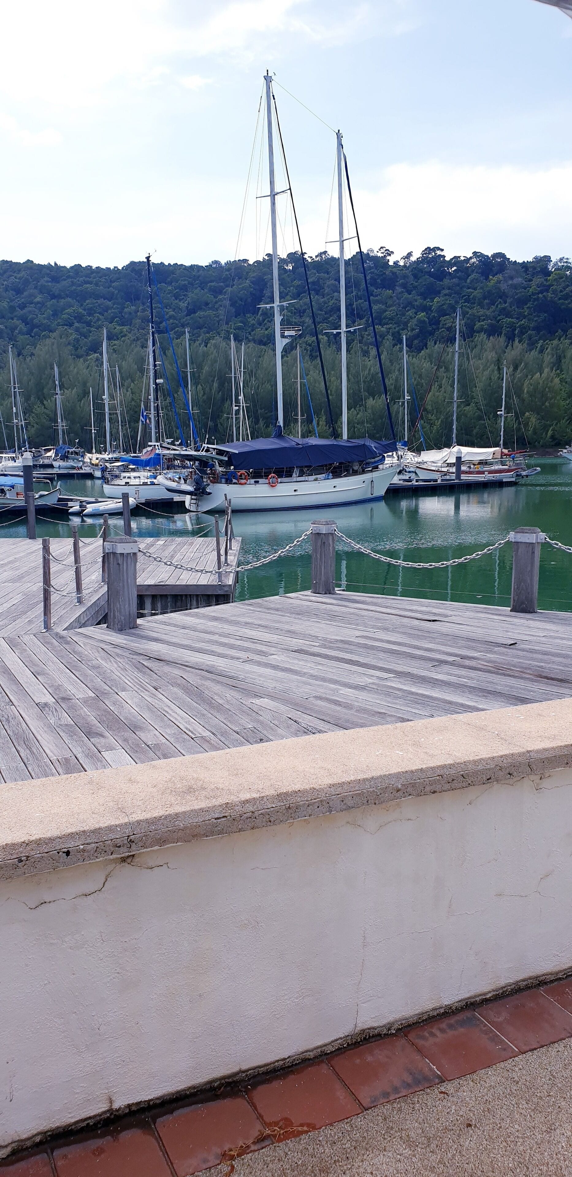 Een jachthaven met verschillende zeilboten afgemeerd, een houten steiger en een beboste heuvel op de achtergrond.