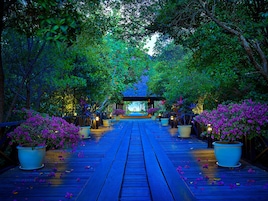 A wooden pathway leading to a gazebo surrounded by lush greenery and potted plants.