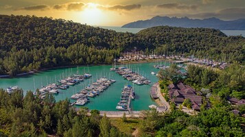 An aerial view of a marina surrounded by dense forest and mountains.