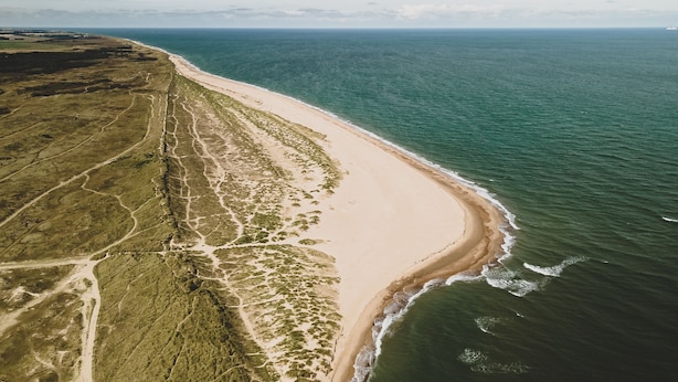 An aerial view of a beach with a clear path leading to the shore, surrounded by greenery.