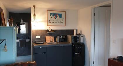 Impeccable Studio in Ouddorp 400m From th