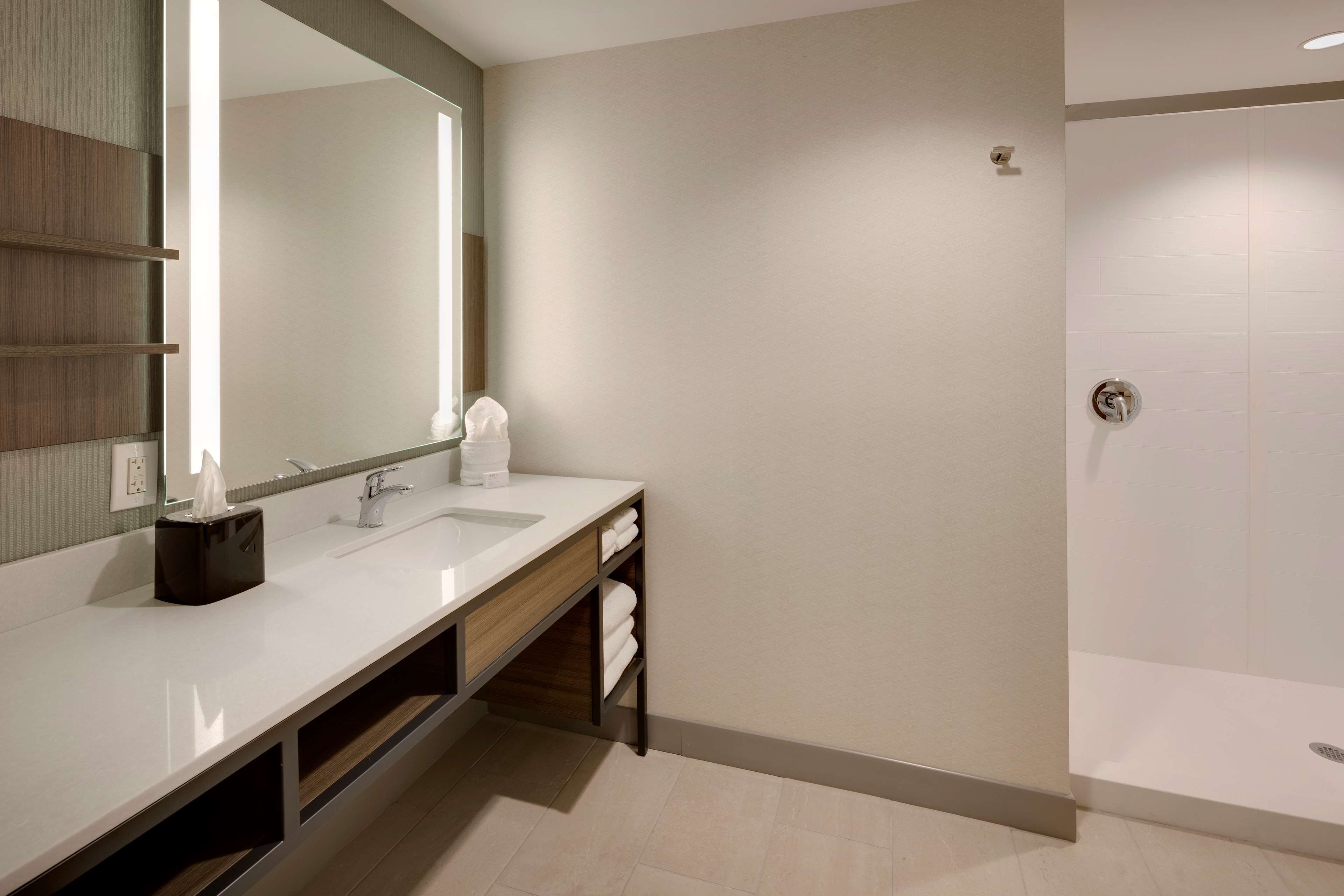 A modern bathroom with a large mirror, two sinks, a towel rack, and a shower area.