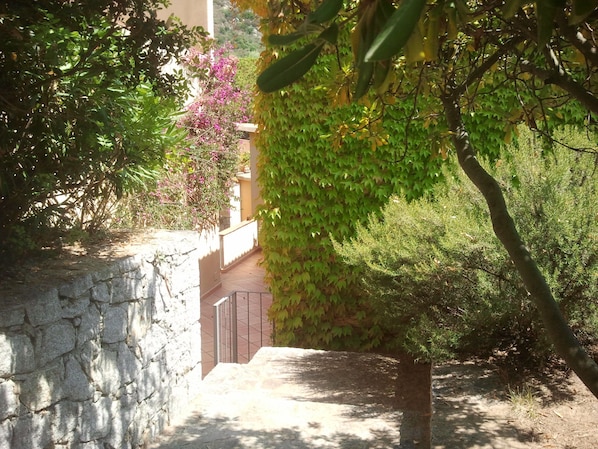 Un muro de piedra, un sendero con baldosas y abundante follaje, incluyendo un arbusto floreciente.