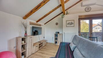 21-inch flat-screen TV with digital channels, TV, fireplace