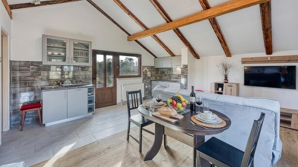 Familiehus, 1 soverom, 2 bad (House Pepica with Jacuzzi in Zagorje) | Oppholdsområde
