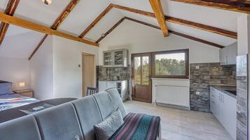 Family House, Multiple Bedrooms, 2 Bathrooms (House Pepica With Hot Tub) | Living area | 21-inch flat-screen TV with digital channels, TV, fireplace