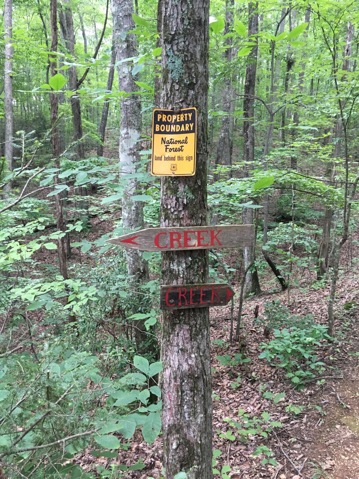 A wooden signpost in a forest with 'PROPERTY BOUNDARY' and 'National Forest' signs, and two 'CREEK' directional signs.