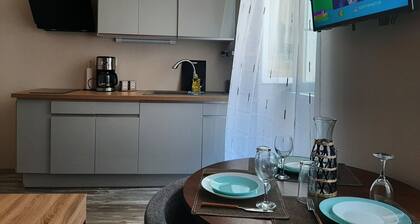" Les IRIS " APT 106, T2 COSY, 30 m2 , 1 chambre avec TV