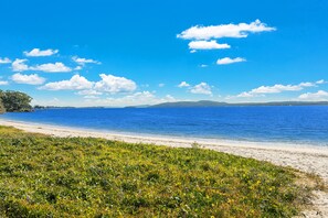 Una playa con agua azul cristalina, orilla de arena y vegetación verde.