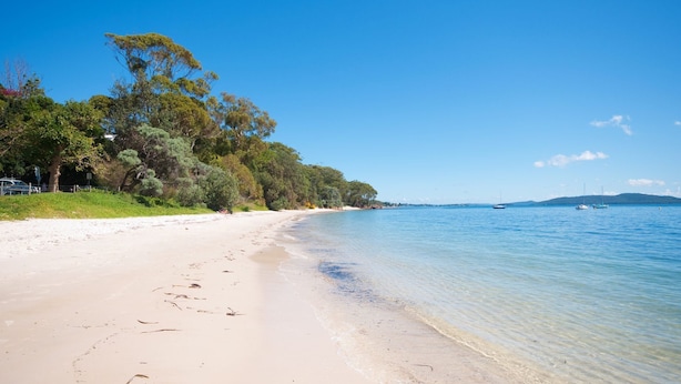 Ein Strand mit klarem Wasser, sandigem Ufer und Bäumen entlang der Küste.