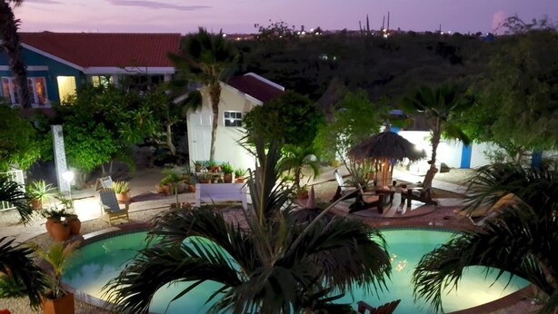 Una piscina circondata da palme e piante in vaso, con alcuni lettini prendisole e una struttura con tetto di paglia.