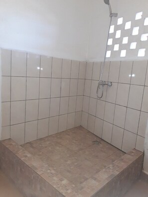 Shower, towels, toilet paper