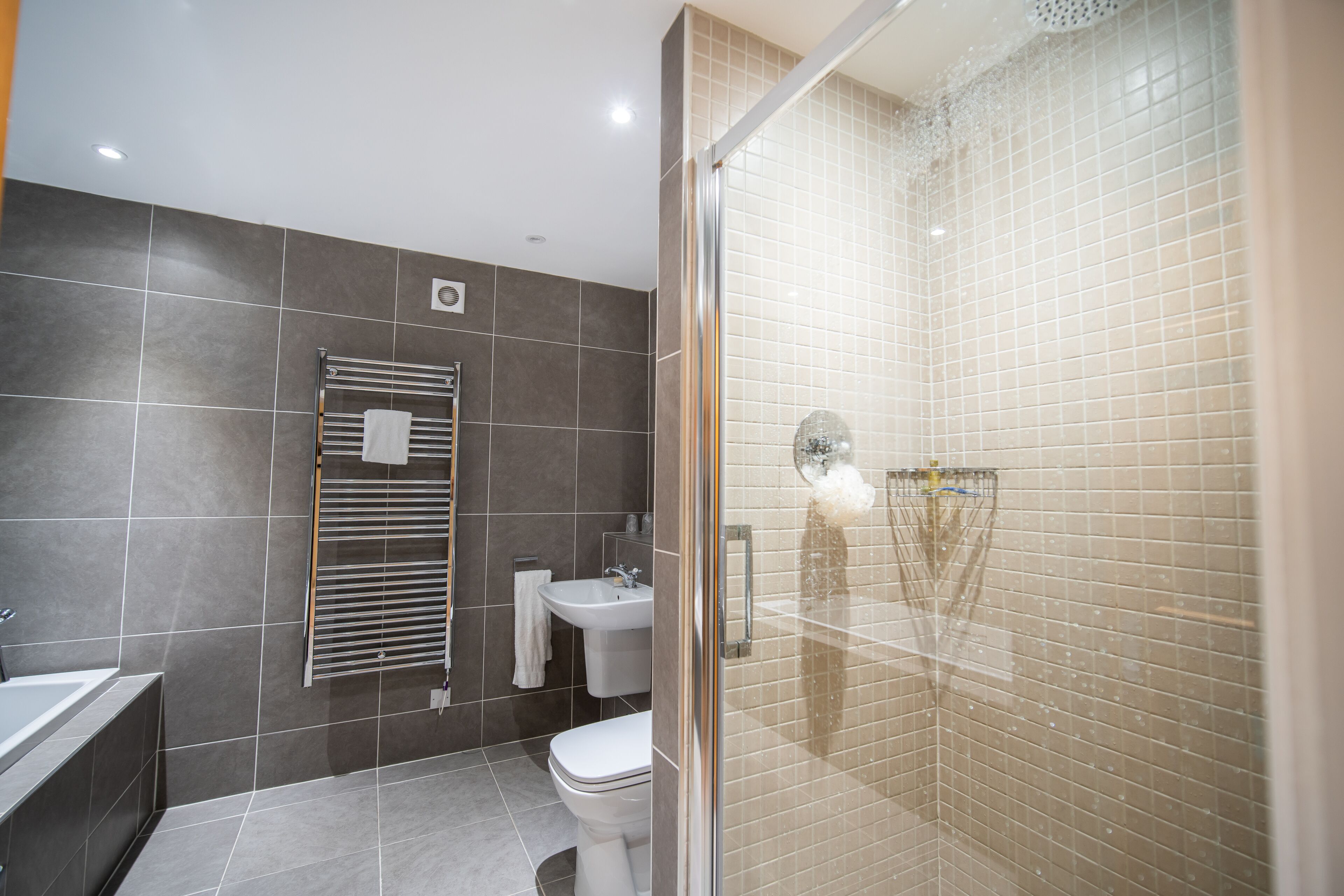 A modern bathroom with a glass-enclosed shower, a toilet, a sink, and a towel rack.