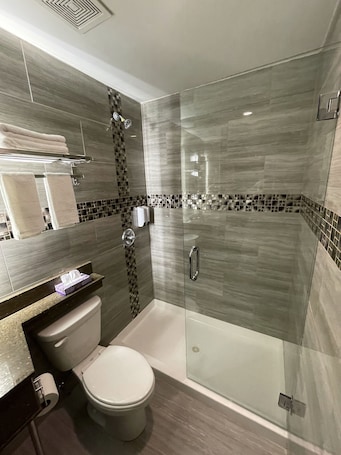 Shower, hydromassage showerhead, free toiletries, hair dryer. Hotel 369 Brooklyn