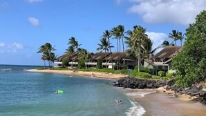 A beachfront hotel with multiple buildings, palm trees, and a sandy beach.