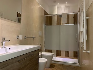Dusche, Haartrockner, Bidet, Handtücher