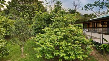 Jardines del alojamiento