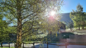 A fenced outdoor area with a tree and a building in the background. - Lake view chalet (Matemale)