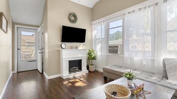 Smart TV, chimenea y libros