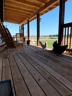 Terrace/patio - Farm Stay with outdoor firepit, Man Cave, animals (Dallas)