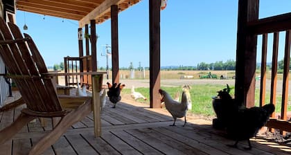 Farm Stay with outdoor firepit, Man Cave, animals