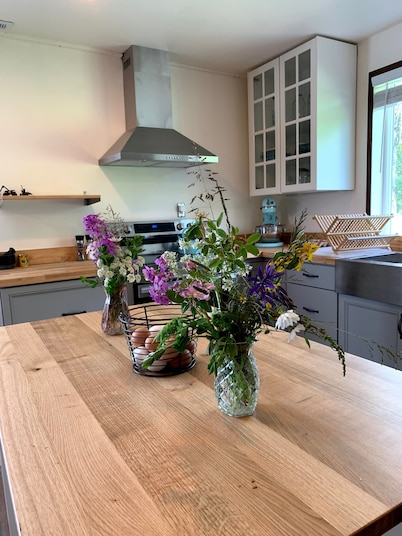 Farm Stay with outdoor firepit, Man Cave, animals