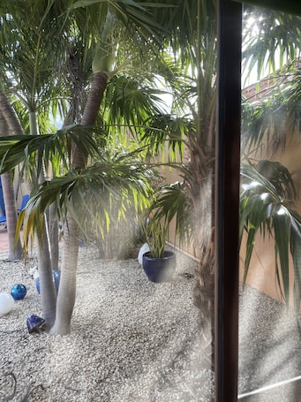 A tropical garden with palm trees and a blue pot on gravel.