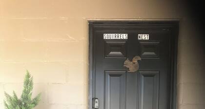 The Squirrels Nest in the quaint village of Aurora