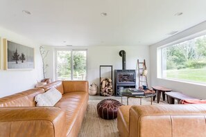 TV connectée, cheminée, livres, vidéothèque