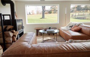 Smart TV, lareira, livros, videoteca