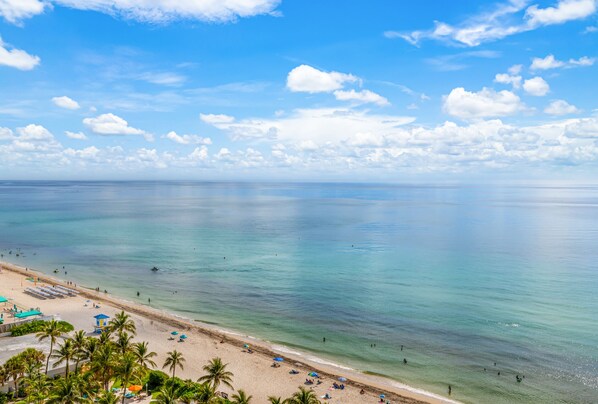 On the beach - Fantastic Ocean View Pent House on the Beach 1B/1B (Hollywood)