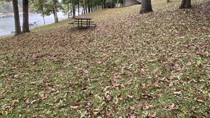 A lakeside cabin with a picnic table and a deck overlooking the water. - Cabin B at Smith Lake Alabama Cabins (Cullman)